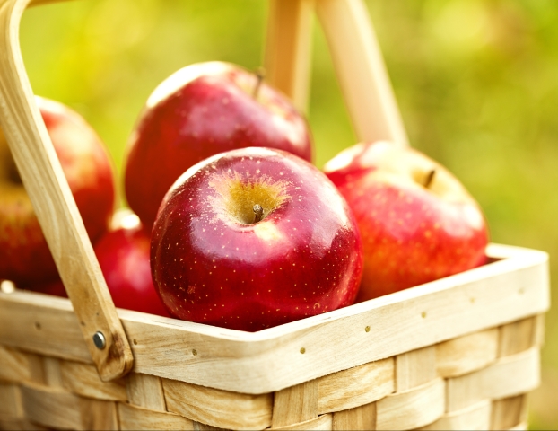 Fresh Tasty Red Apples in Wooden Basket on Green Grass